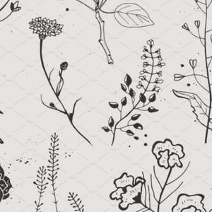 Meet your Posher, Lucy